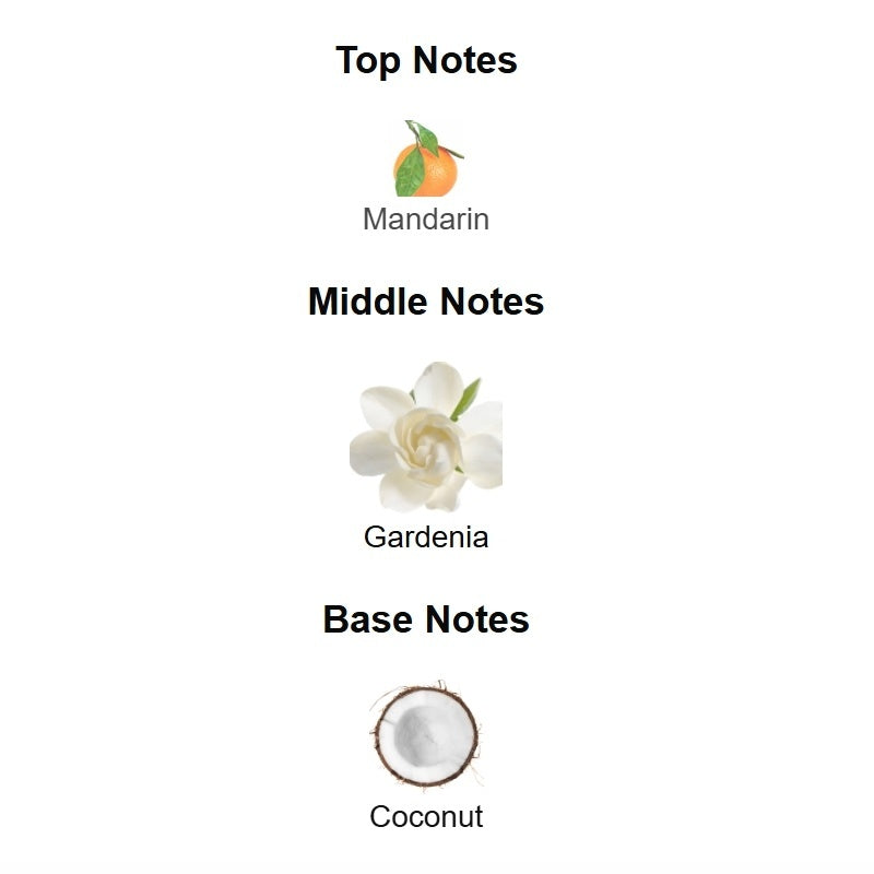 Born in Roma the Gold Donna Valentino 100ml