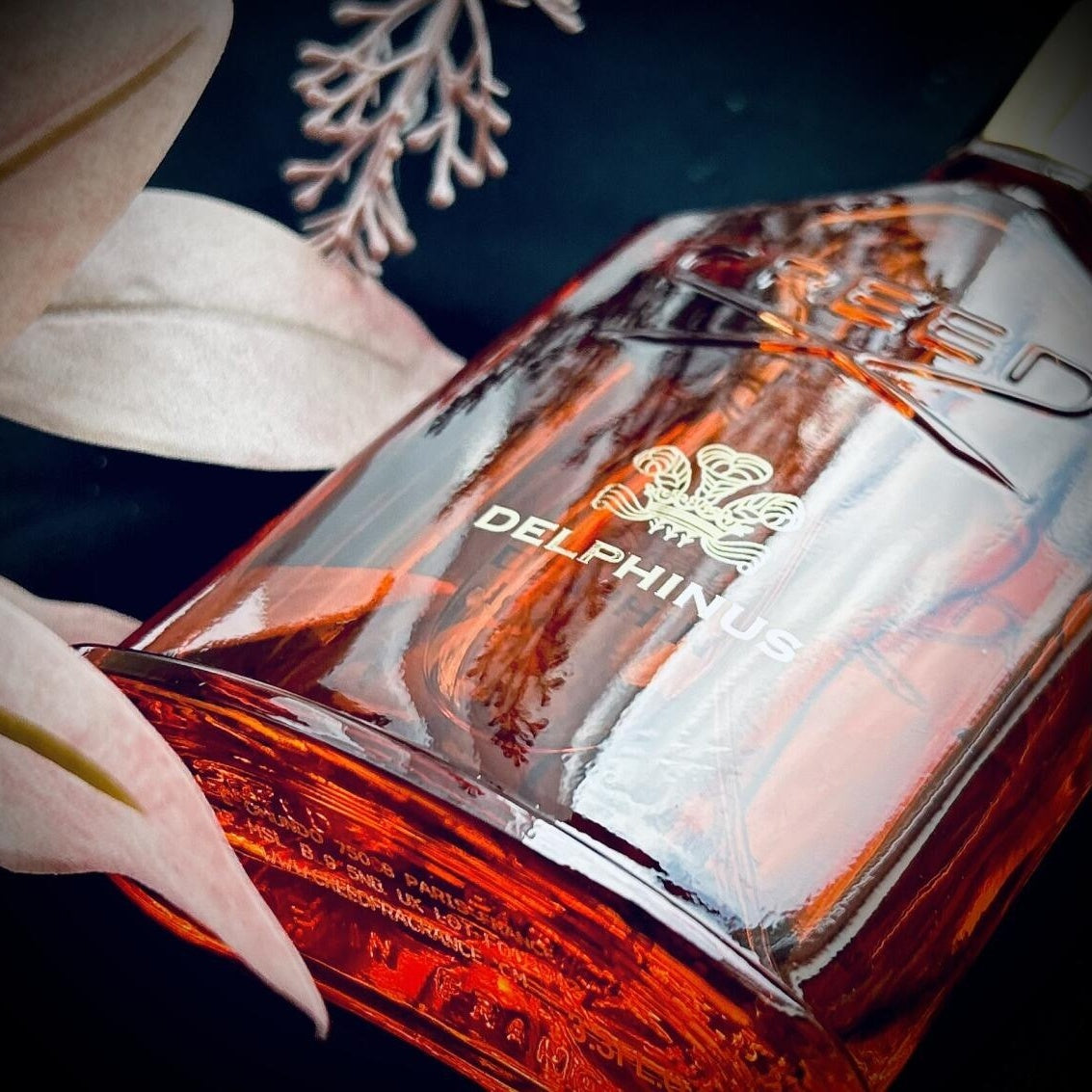 Delphinus Creed 100ML