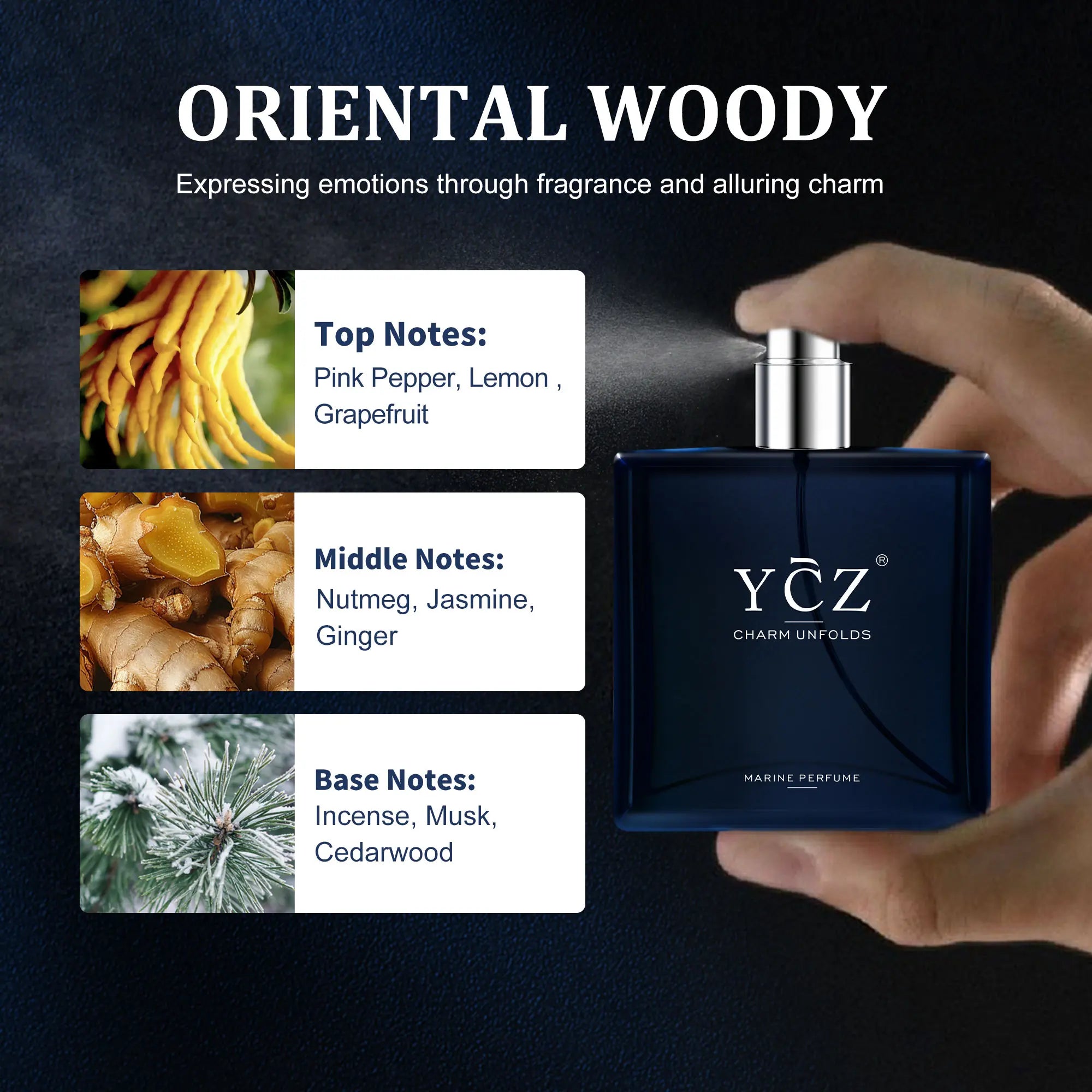 Midnight Marine Eau De Parfum Unisex 50ml Ocean Fresh Scent Premium Aromatic Woody Fragrance with Bergamot Coconut Amber for Him & Her Bold Arabian Perfume Luxurious Gift