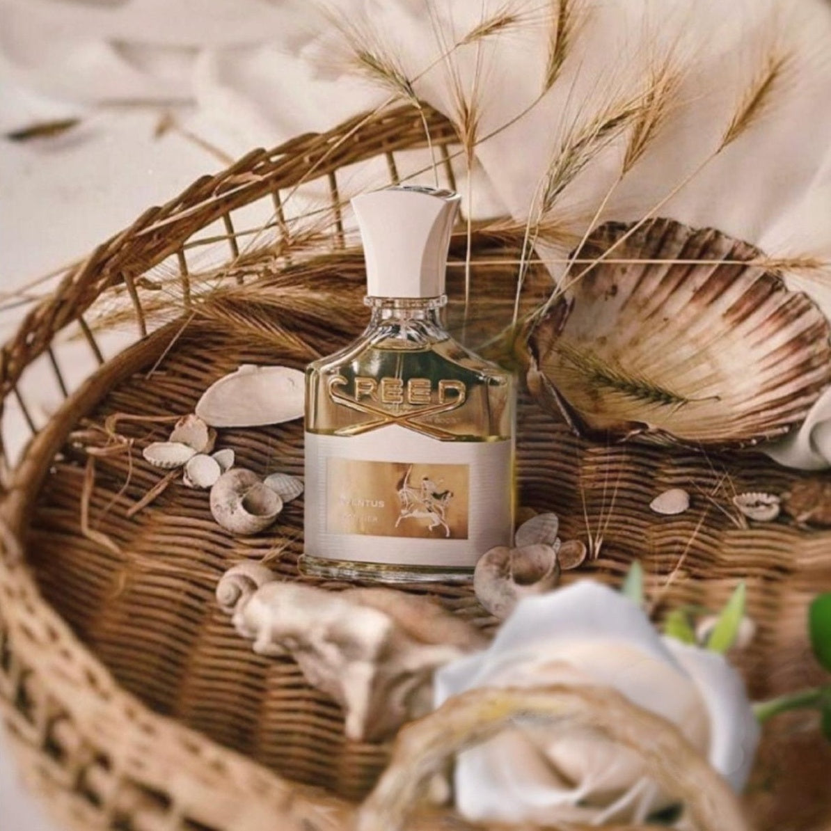 Aventus for Her Creed 75ML